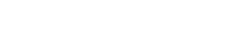 AirPulse lockup, white on ink